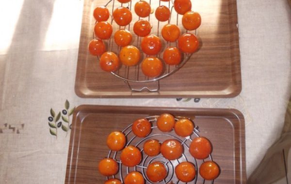 Mandarines confites