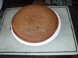 Gâteau aux cacao en poudre