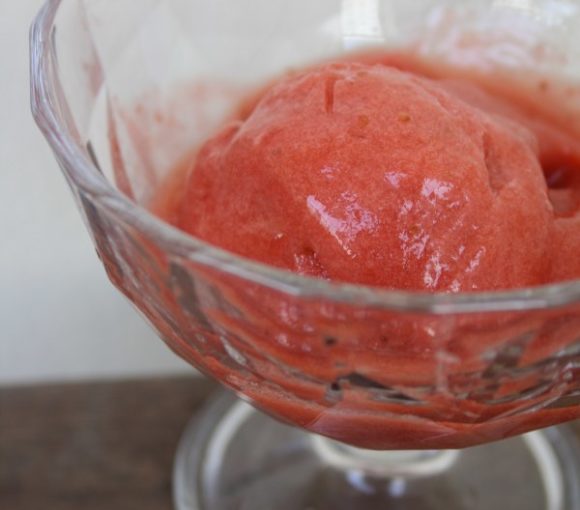 Sorbet fraise & rhubarbe