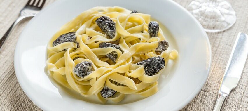 Fresh pasta with morels