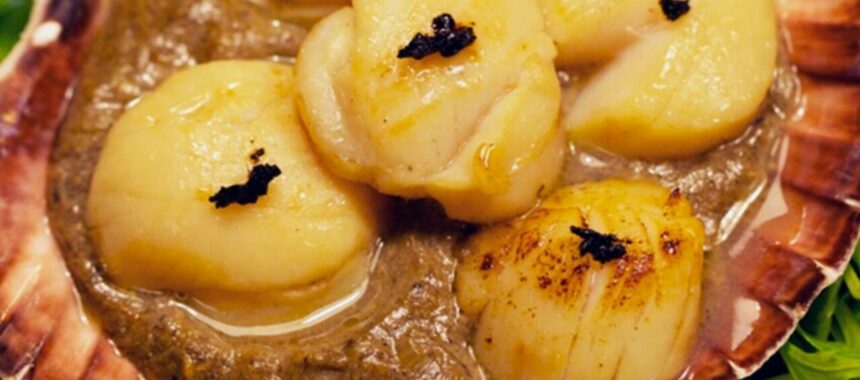 Pan-fried scallops and black garlic sabayon