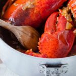 American lobster casserole