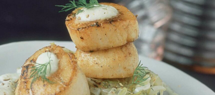 Roasted scallops with endive fondue