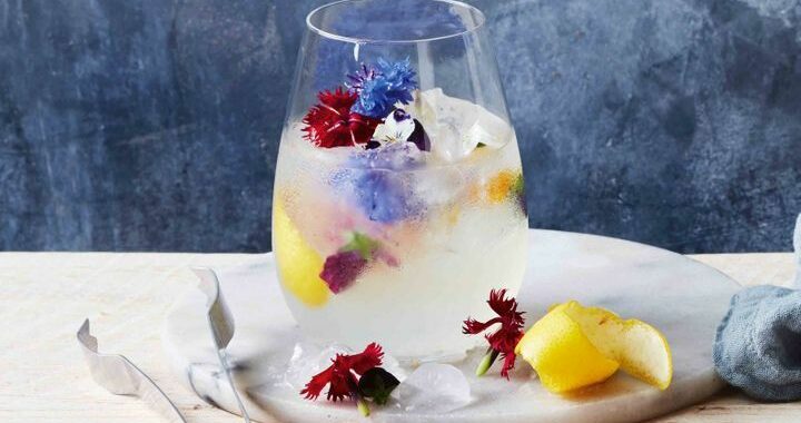 Soda aux fleurs de sureau et au gin