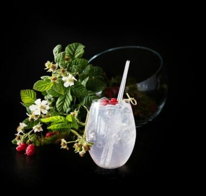 Gin tonic aux baies et aux plantes