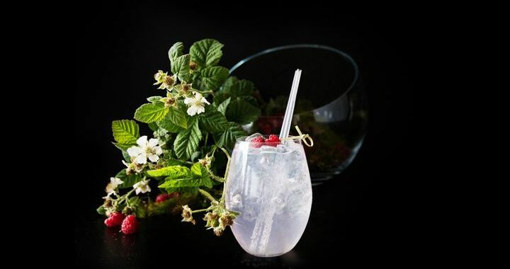 Gin tonic aux baies et aux plantes